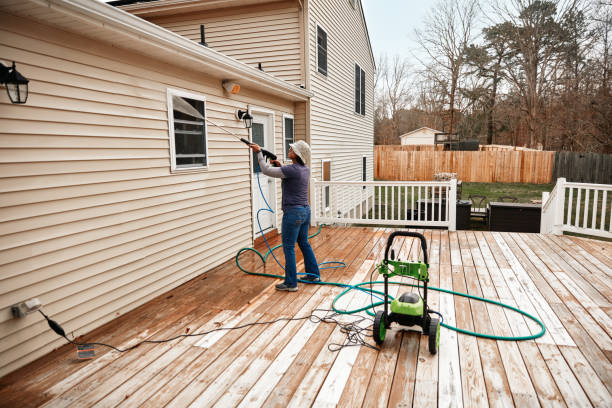 Best House Pressure Washing  in Ripley, MS