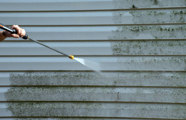 Best Affordable Power Washing  in Ripley, MS