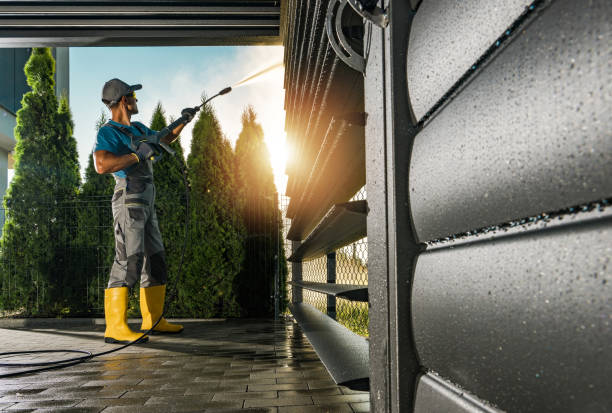 Best Deck Pressure Washing  in Ripley, MS