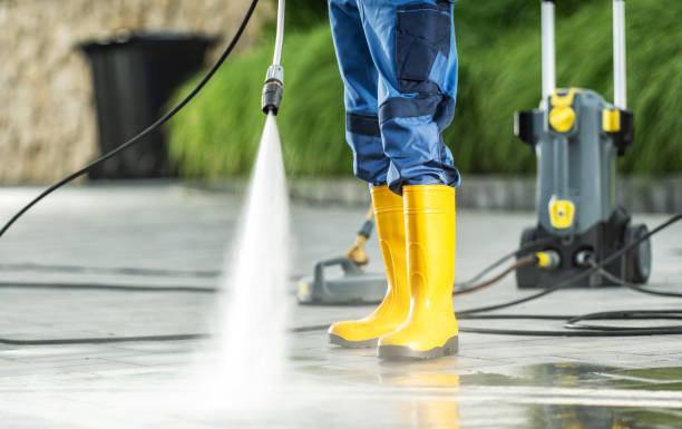 Best Residential Pressure Washing Services  in Ripley, MS